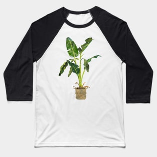 Banana plant Baseball T-Shirt